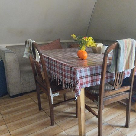 Everyday Cat Hostel Batumi Luaran gambar