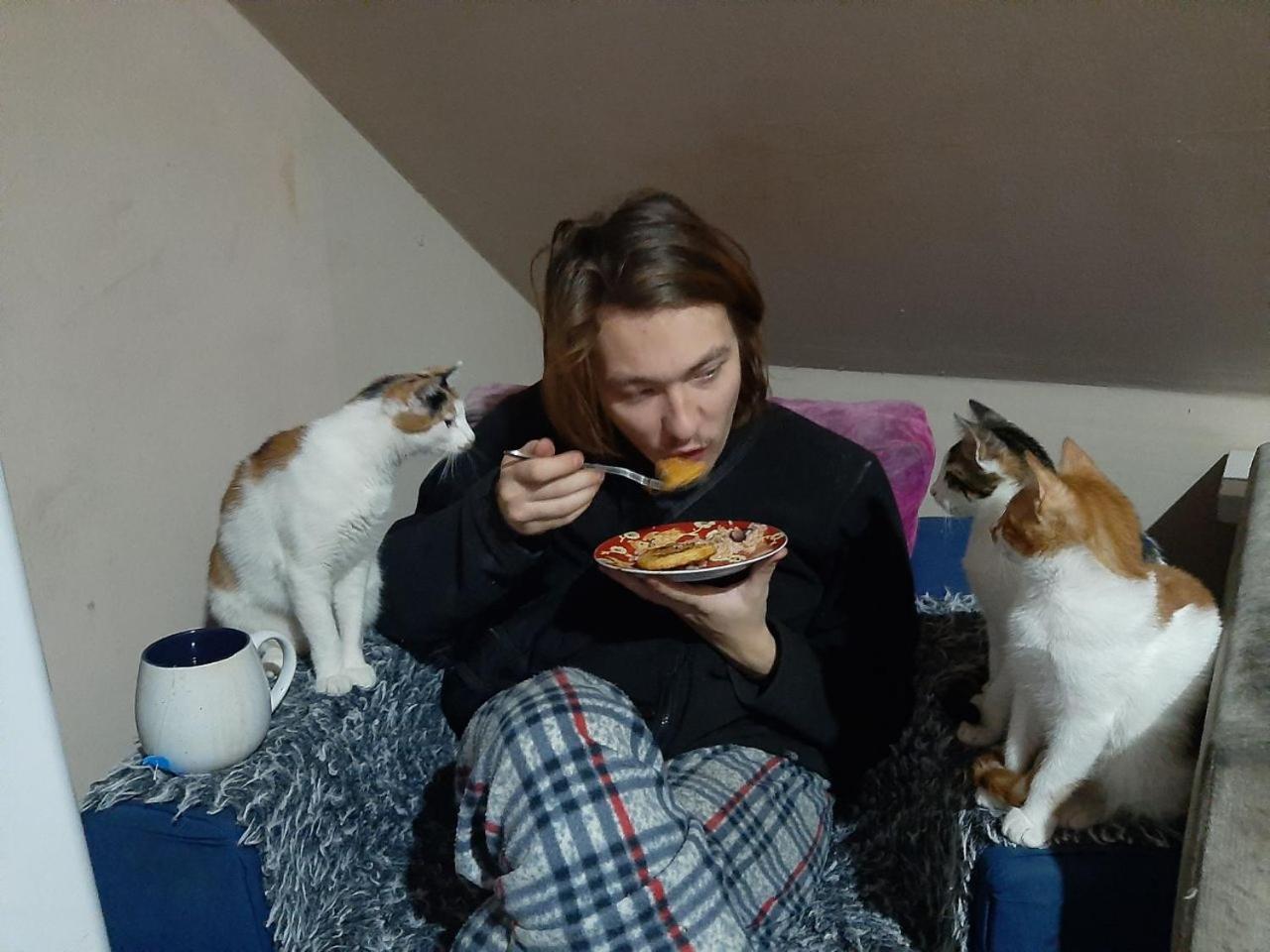 Everyday Cat Hostel Batumi Luaran gambar