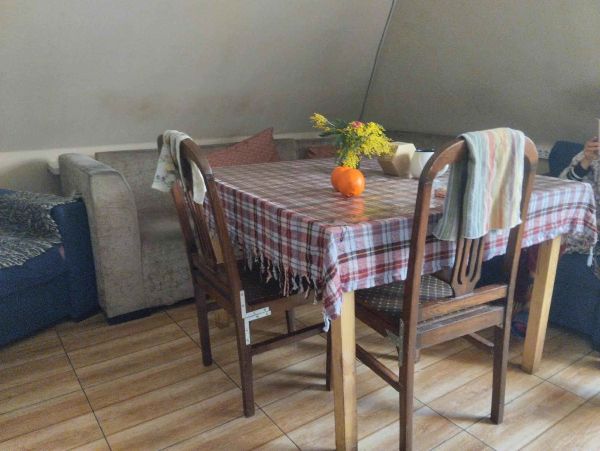 Everyday Cat Hostel Batumi Luaran gambar